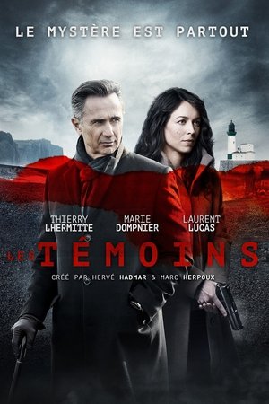 Les témoins: Saison 1