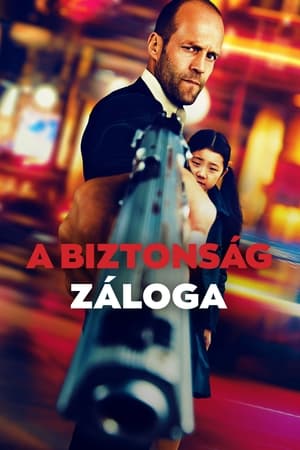 Poster A biztonság záloga 2012