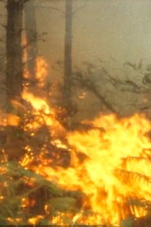Nonton film The disfigured forest (1976) terbaru sub indo