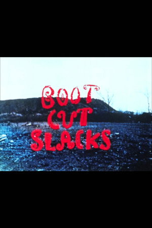 Boot Cut Slacks