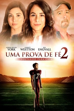 Uma Prova de Fé 2: Voltando para Casa - Poster