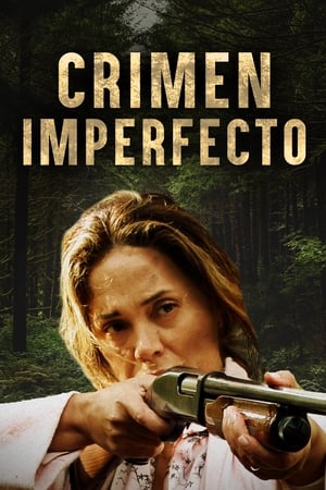 Poster Crimen imperfecto 2022