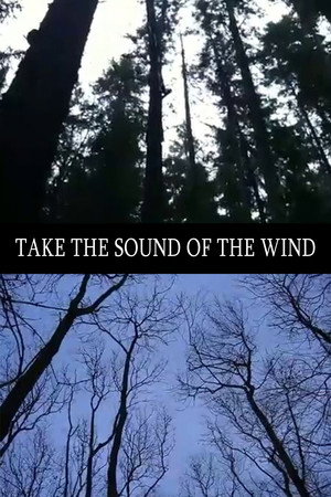 Ver Take the Sound of the Wind online en HD