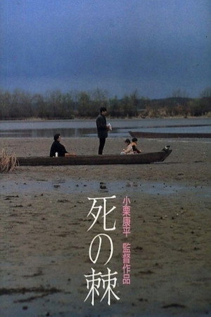The Sting of Death 17