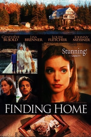 Poster Finding Home 2003