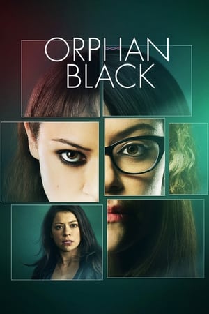 Poster Orphan Black Season 5 Ease for Idle Millionaires 2017