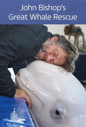 Image John Bishop's Great Whale Rescue