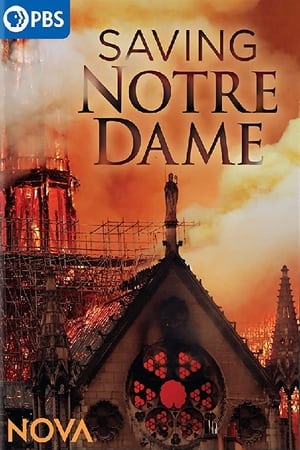 Saving Notre Dame film complet