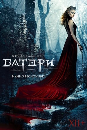 Poster Кровавая леди Батори 2015