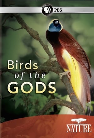 Birds of the Gods poster