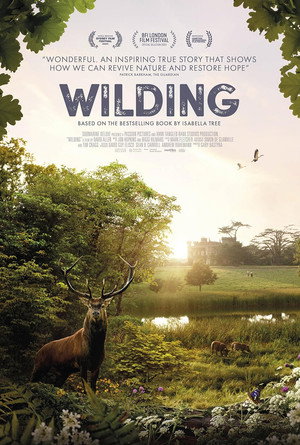 Wilding 6