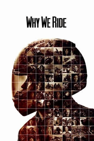 Poster Why We Ride (2013)