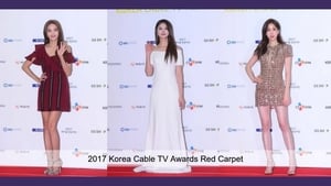 Korea Drama Awards 2017