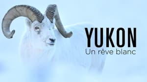 Yukon : un rêve blanc (2022)