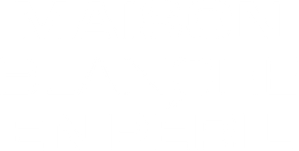 White House Down — logo