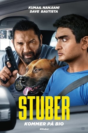 Poster Stuber 2019