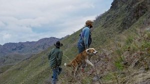 Mountain Men Tooth and Claw