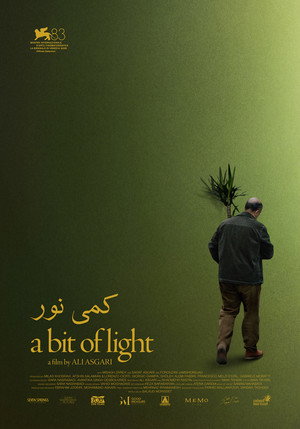 A Bit of Light