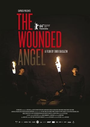 The Wounded Angel poster