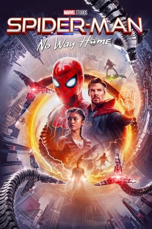 Spider-Man: No Way Home (2021) Dual Audio [Hindi (Cleaned)-English] 1080p | 720p | 480p BluRay x264 AAC