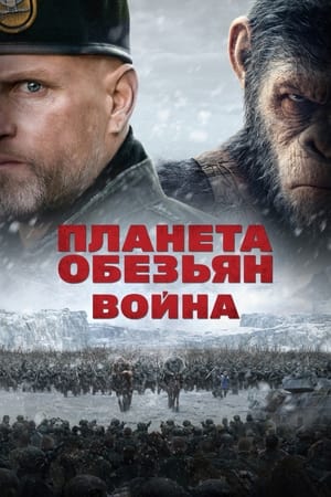 Poster Планета обезьян: Война 2017