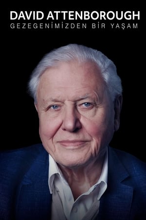 David Attenborough: Gezegenimizden Bir Yaşam (2020)