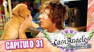 Épisode 31