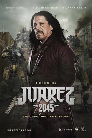 Image Juarez 2045
