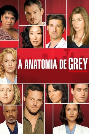 poster Grey's Anatomy - Season 10