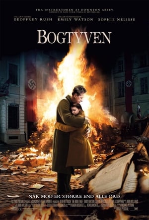 Bogtyven 2013