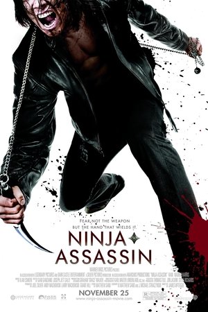 Image Ninja Assassin