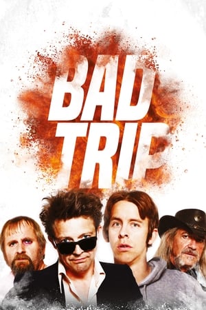 Poster Bad Trip (2017)