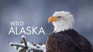 poster Alaska: Earth's Frozen Kingdom