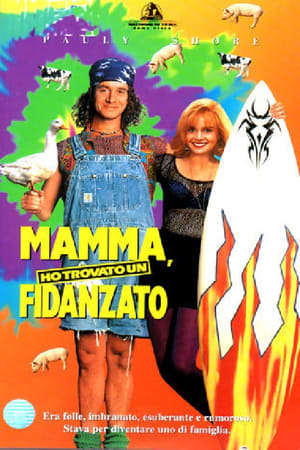 Poster Mamma, ho trovato un fidanzato 1993