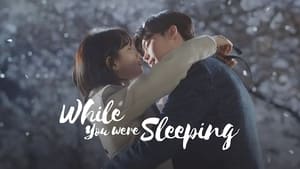 poster While You Were Sleeping