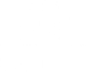 /tlnUgBgTWWPjmqSK6BOY7046CT.png