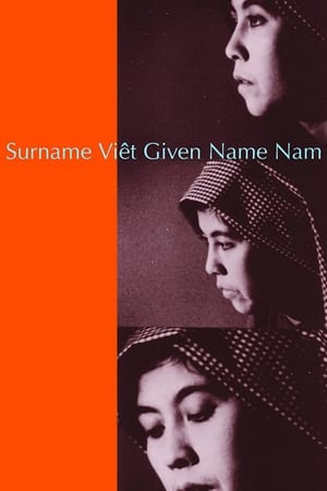 Surname Viêt Given Name Nam film complet