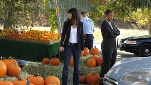 The Mentalist: 3 Staffel 8 Folge