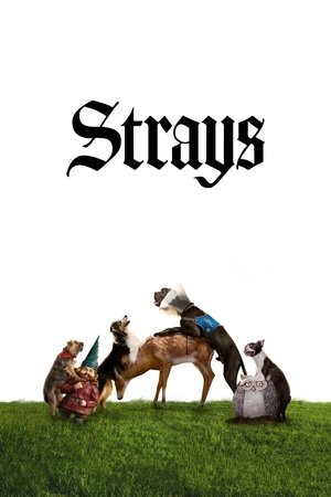<Images posters