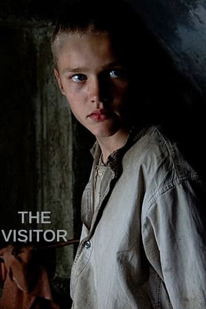 Poster The Visitor (2008)