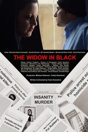 Poster The Widow in Black 2017