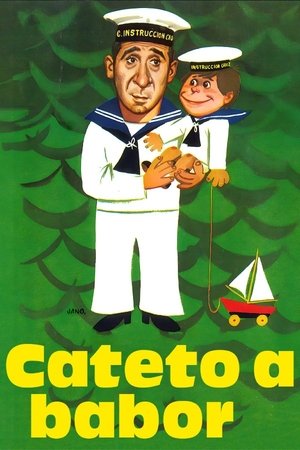 Image Cateto a babor