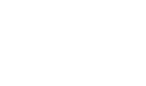 Eu Sei o Que Vocês Fizeram no Verão Passado