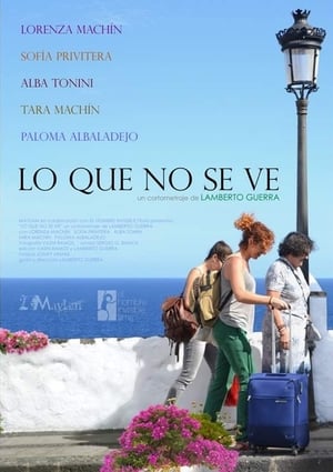 Poster Lo que no se ve (2017)