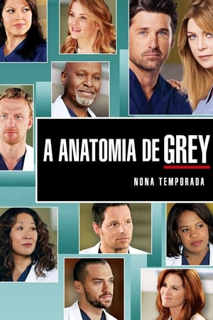 Anatomia de Grey: Temporada 9