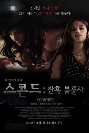 Poster 스콘드: 잔혹 불륜사 2013