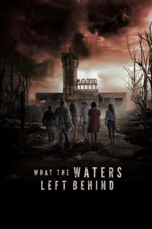 Poster What the Waters Left Behind 2017