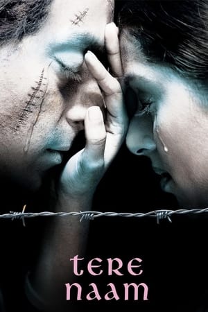 Poster Tere Naam (2003)