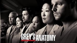 poster Grey's Anatomy