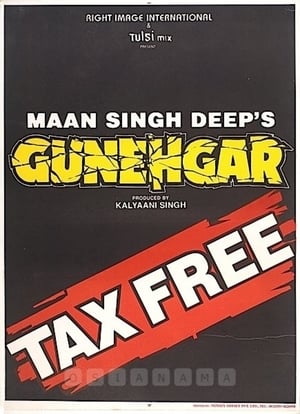 Poster Gunehgar (1995)